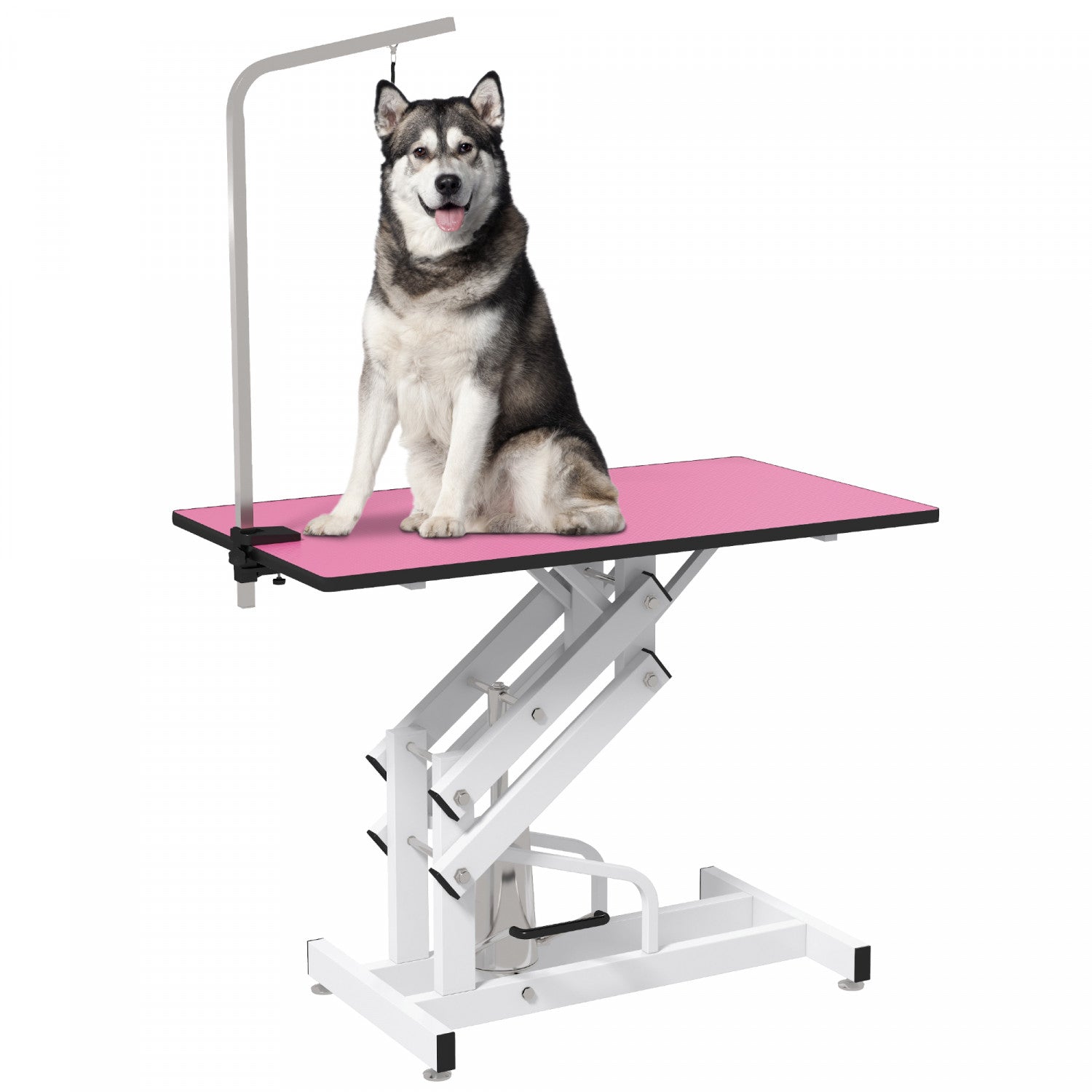 Pawhut Dog Grooming Table Deluxe Professional Pet Grooming Table F