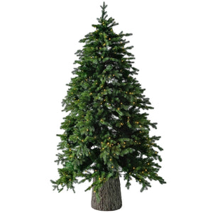 Fraser Fir 7' Pre-Lit Christmas Tree