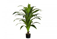 Dracaena Tree 47