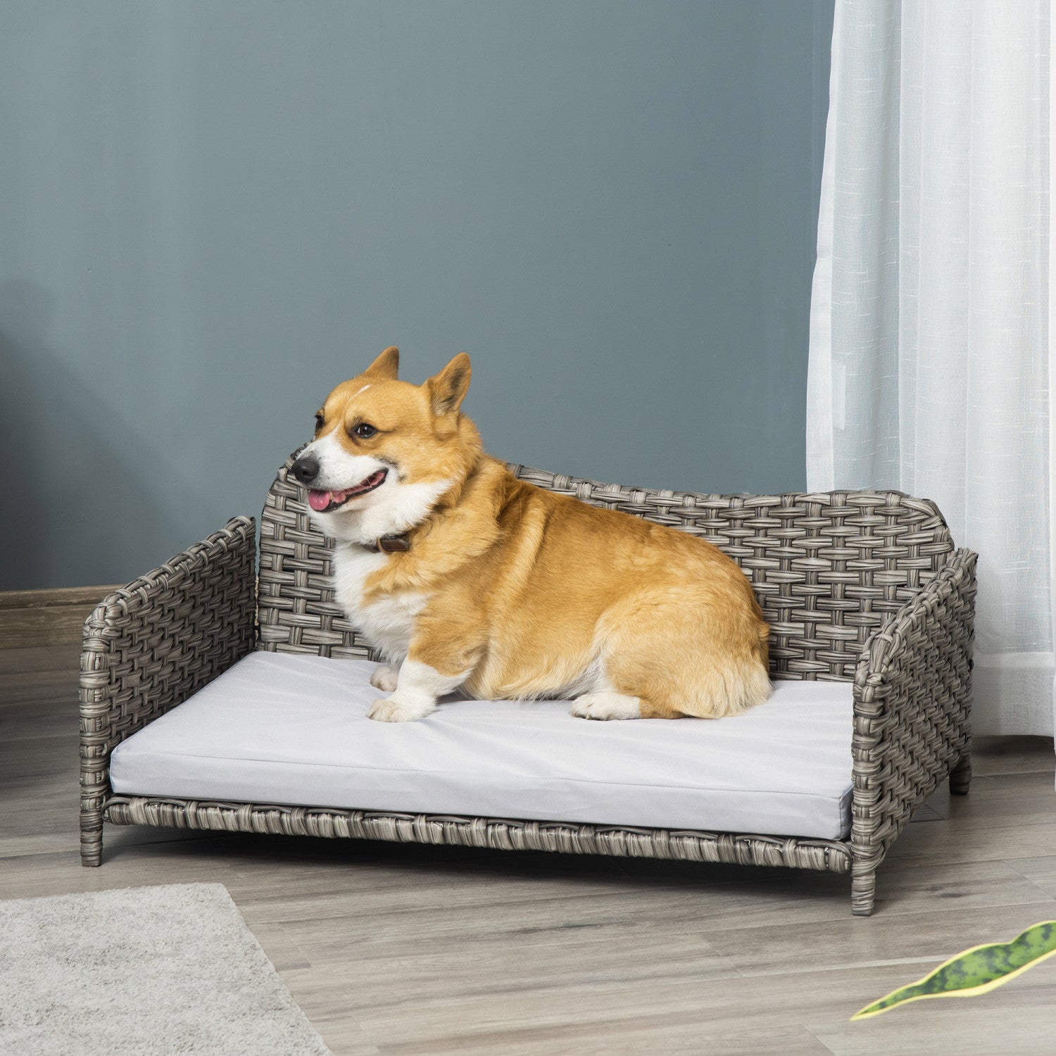 Large pet sofa best sale