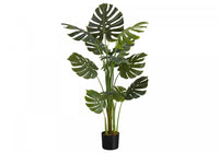 Monstera Tree 55