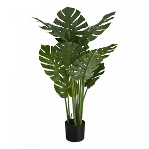 Monstera Tree 45