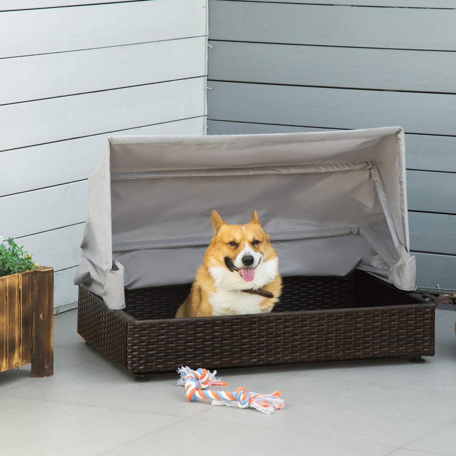 Garden dog bed with canopy best sale