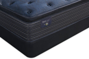 Serta Back Logic 3.0 Eurotop Plush Twin Mattress Set