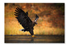 White Tailed Eagle 16x24 Wall Art Fabric Panel Without Frame