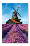 Lavender Fields with Windmill 16x24 Wall Art Fabric Panel Without Frame