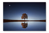 Tree Near Lake At Night 24x36 Wall Art Fabric Panel Without Frame