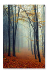 Autumn Landscape 16x24 Wall Art Frame And Fabric Panel