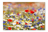 Wild Flowers 28x42 Wall Art Fabric Panel Without Frame