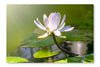 Water Lily Flower 28x42 Wall Art Fabric Panel Without Frame