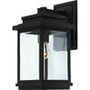 Freemont 1-Light Black Outdoor Wall Light IV