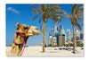 Camel At The Urban Building Background of Dubai 28x42 Wall Art Fabric Panel Without Frame
