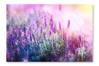 Lavender Flowers Field 16x24 Wall Art Fabric Panel Without Frame