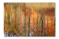 Autumn Forest Reflection 28x42 Wall Art Frame And Fabric Panel