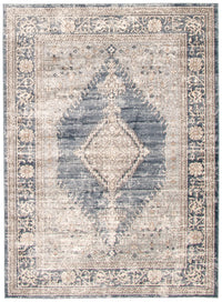 Octavian Bijar Blue Area Rug - 3'11