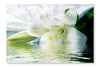 White Lily Reflected In The Water 28x42 Wall Art Frame And Fabric Panel