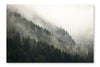 Forest Fog 24x36 Wall Art Frame And Fabric Panel