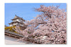 Pink Cherry Blossoms Flower with Japan Castle 24x36 Wall Art Fabric Panel Without Frame