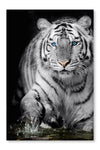 Black  White Tiger 28x42 Wall Art Fabric Panel Without Frame