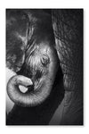 Baby Elephant Seeking Comfort 24x36 Wall Art Frame And Fabric Panel