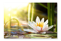 Water Lily 2 28x42 Wall Art Fabric Panel Without Frame