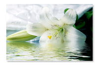 White Lily Reflected In The Water 16x24 Wall Art Frame And Fabric Panel