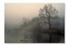 In The Fog 24x36 Wall Art Fabric Panel Without Frame