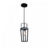 Carriage 1-Light Black Pendant II