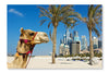 Camel At The Urban Building Background Of Dubai 28x42 Wall Art Frame And Fabric Panel