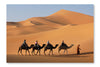 Camel Caravan In Sahara Desert 16x24 Wall Art Frame And Fabric Panel