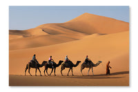 Camel Caravan In Sahara Desert 16x24 Wall Art Frame And Fabric Panel