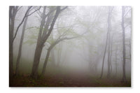 Morning Fog 16x24 Wall Art Fabric Panel Without Frame