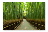 Bamboo Grove 28x42 Wall Art Frame And Fabric Panel