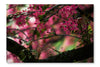 Close-up Shot of Beautiful Pink Cherry Blossom 2 16x24 Wall Art Fabric Panel Without Frame