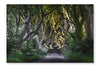 The Dark Hedges 24x36 Wall Art Fabric Panel Without Frame