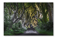 The Dark Hedges 24x36 Wall Art Fabric Panel Without Frame