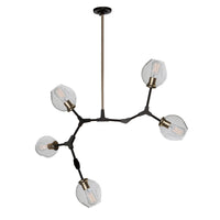 Organic 5-Light Chandelier II 