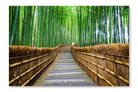 Path To Bamboo Forest, Arashiyama 28x42 Wall Art Frame And Fabric Panel