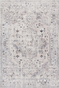 Far Grey 4x6 Area Rug