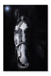 Horse Staring 16x24 Wall Art Fabric Panel Without Frame