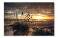 Grassy  Beach Sunset 24x36 Wall Art Fabric Panel Without Frame