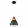 Tote 1-Light Black Pendant II