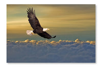 Bald Eagle Flying Above The Clouds 28x42 Wall Art Frame And Fabric Panel