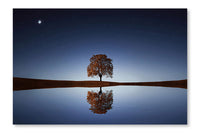 Tree Near Lake At Night 28x42 Wall Art Fabric Panel Without Frame