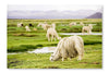 Alpacas, Peru 28x42 Wall Art Fabric Panel Without Frame