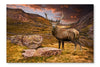 Red Deer Stag in Moody Dramatic Mountain Sunset Landscape 24x36 Wall Art Fabric Panel Without Frame