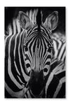 Zebra Pattern Portrait 24x36 Wall Art Frame And Fabric Panel