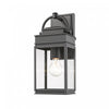 Fulton 1-Light Outdoor Wall Light II