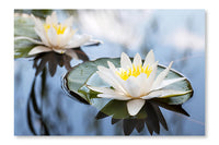 Water Lily On Lake 28x42 Wall Art Frame And Fabric Panel