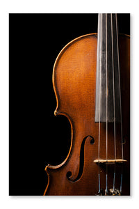 Violin Close Up 16x24 Wall Art Frame And Fabric Panel